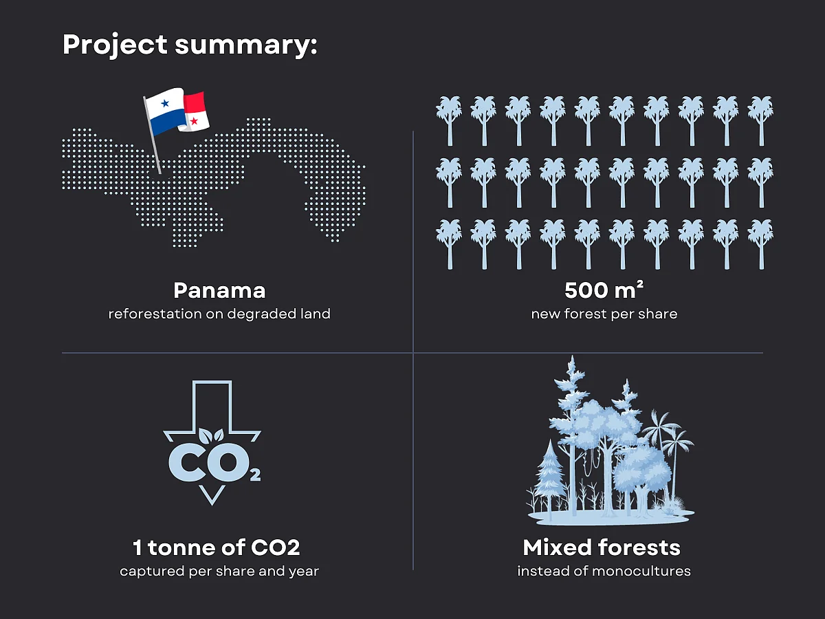 Generation Forest Graphic EN  1 